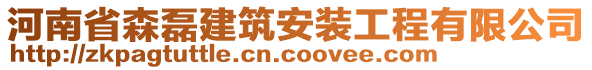 河南省森磊建筑安装工程有限公司