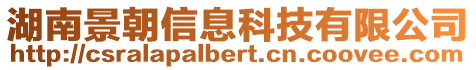 湖南景朝信息科技有限公司