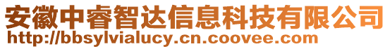 安徽中睿智達(dá)信息科技有限公司