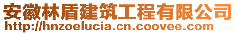 安徽林盾建筑工程有限公司