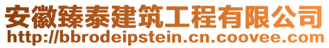 安徽臻泰建筑工程有限公司