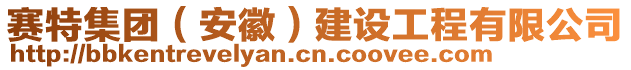 賽特集團(tuán)（安徽）建設(shè)工程有限公司