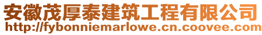 安徽茂厚泰建筑工程有限公司