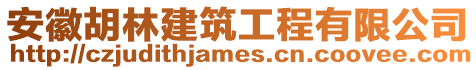 安徽胡林建筑工程有限公司