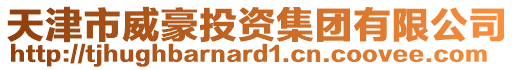 天津市威豪投資集團(tuán)有限公司