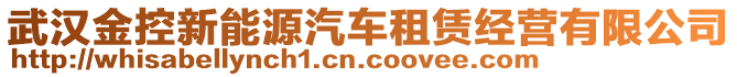 武漢金控新能源汽車租賃經(jīng)營有限公司