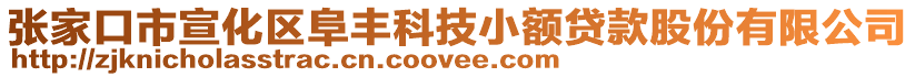 張家口市宣化區(qū)阜豐科技小額貸款股份有限公司