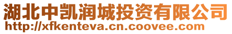 湖北中凱潤城投資有限公司