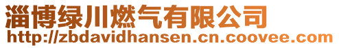 淄博绿川燃气有限公司