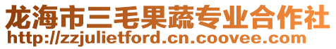 龍海市三毛果蔬專業(yè)合作社