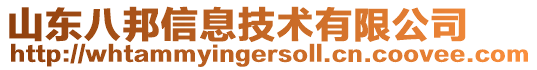 山東八邦信息技術(shù)有限公司