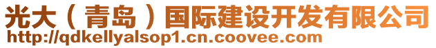 光大（青島）國際建設開發(fā)有限公司