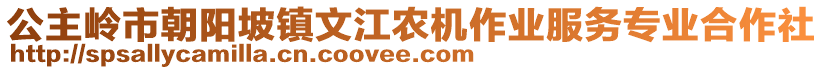 公主嶺市朝陽坡鎮(zhèn)文江農(nóng)機作業(yè)服務(wù)專業(yè)合作社