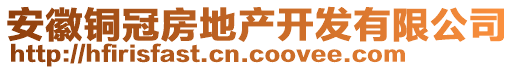 安徽銅冠房地產(chǎn)開發(fā)有限公司