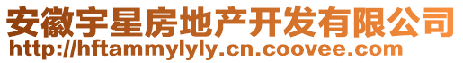 安徽宇星房地產(chǎn)開發(fā)有限公司