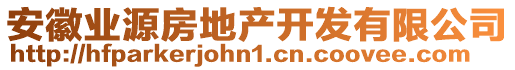 安徽業(yè)源房地產(chǎn)開(kāi)發(fā)有限公司