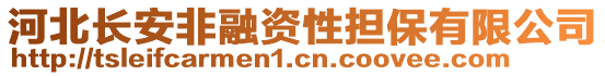 河北長(zhǎng)安非融資性擔(dān)保有限公司