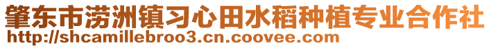 肇東市澇洲鎮(zhèn)習(xí)心田水稻種植專業(yè)合作社