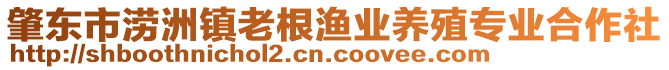 肇東市澇洲鎮(zhèn)老根漁業(yè)養(yǎng)殖專業(yè)合作社