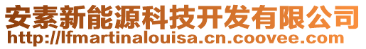 安素新能源科技開發(fā)有限公司