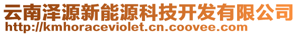 云南澤源新能源科技開發(fā)有限公司