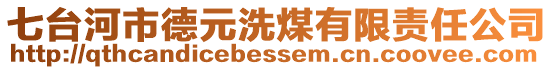 七臺(tái)河市德元洗煤有限責(zé)任公司