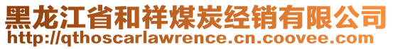 黑龙江省和祥煤炭经销有限公司