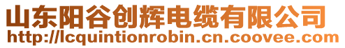 山東陽谷創(chuàng)輝電纜有限公司