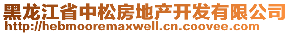 黑龙江省中松房地产开发有限公司