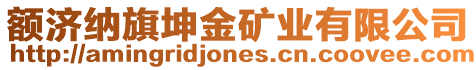 額濟(jì)納旗坤金礦業(yè)有限公司