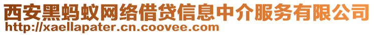 西安黑蚂蚁网络借贷信息中介服务有限公司