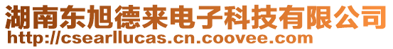 湖南東旭德來電子科技有限公司