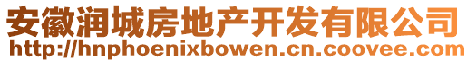 安徽潤(rùn)城房地產(chǎn)開發(fā)有限公司