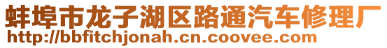 蚌埠市龍子湖區(qū)路通汽車修理廠