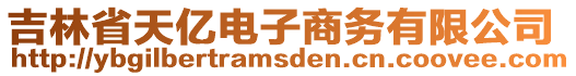 吉林省天億電子商務(wù)有限公司