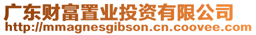 廣東財富置業(yè)投資有限公司
