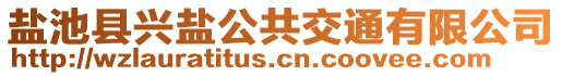 鹽池縣興鹽公共交通有限公司