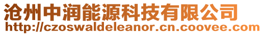 滄州中潤(rùn)能源科技有限公司