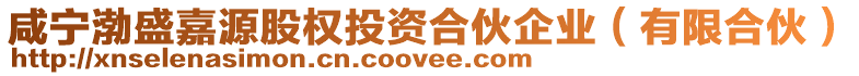 咸寧渤盛嘉源股權(quán)投資合伙企業(yè)（有限合伙）