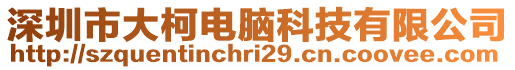 深圳市大柯電腦科技有限公司