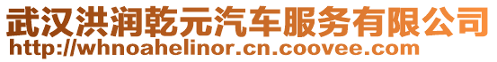 武汉洪润乾元汽车服务有限公司