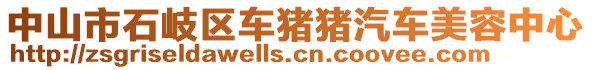 中山市石岐區(qū)車豬豬汽車美容中心