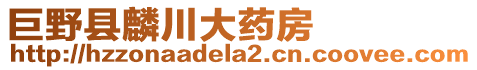 巨野縣麟川大藥房