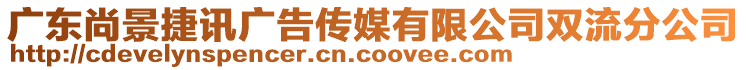 廣東尚景捷訊廣告?zhèn)髅接邢薰倦p流分公司