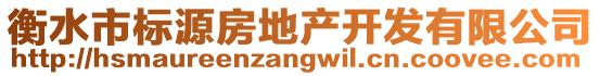 衡水市標源房地產(chǎn)開發(fā)有限公司