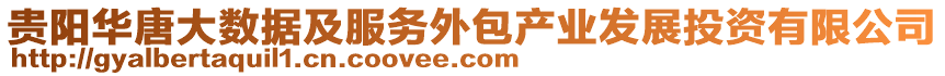 贵阳华唐大数据及服务外包产业发展投资有限公司