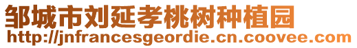 鄒城市劉延孝桃樹種植園