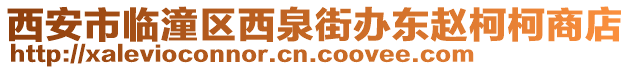 西安市临潼区西泉街办东赵柯柯商店