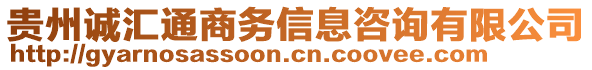 貴州誠匯通商務信息咨詢有限公司