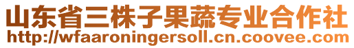 山東省三株子果蔬專業(yè)合作社